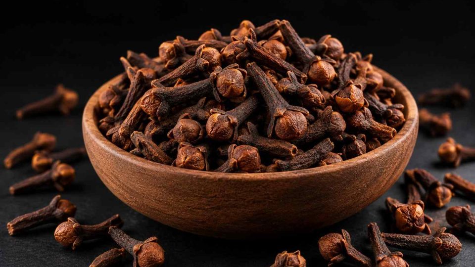 Clove-100kb Clove-100kb