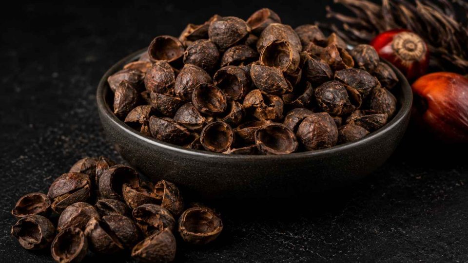 Palm Kernel Shell-100kb Palm Kernel Shell-100kb